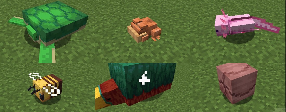 Turtles pull their head in, frogs hunker down, axolotls lie flat, bees land and fold their wings, sniffers lie down and armadillos roll into a ball.