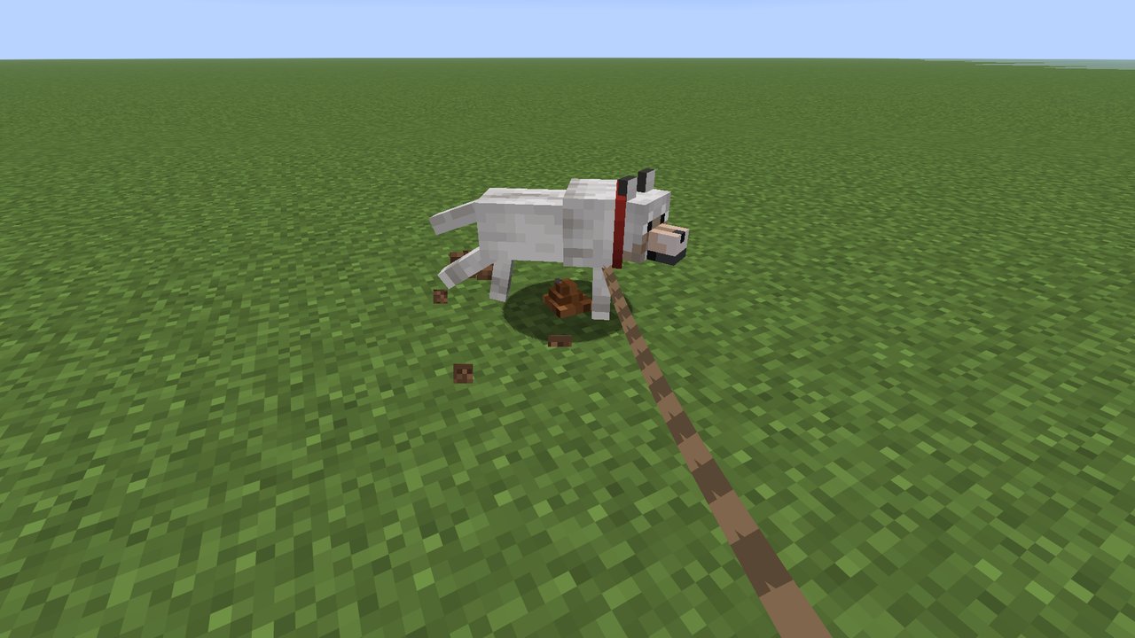 A dog scratching the ground