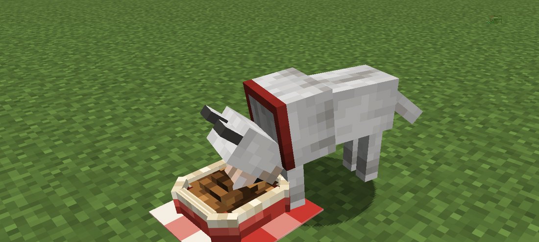 A dog eating from a food bowl