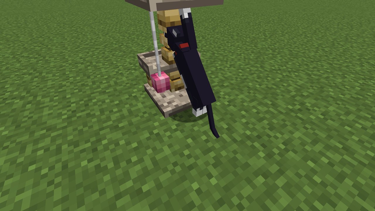 A cat scratching the post